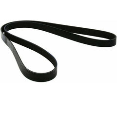 Clio Alternatör Kayışı 2009-2018 Orjinal Mais 117202001R