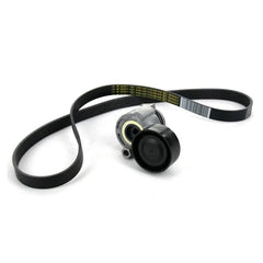 Lodgy Alternatör Kayış Bilya Seti 2012-2017 Orjinal