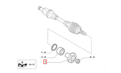 Ducato Tekerlek Poryası Şema