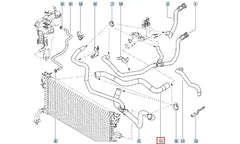 Laguna Motor Radyatörü Üst Hortumu Şema