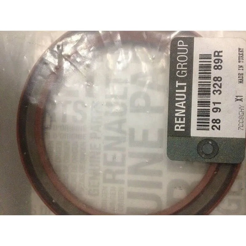 Duster Krank Arka Keçesi 2011-2022 Orjinal Mais 289132889R