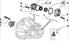 Mito Aks Keçesi Şema