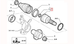Palio Aks Kafası Şema