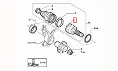 Marea Aks Kafası Şema