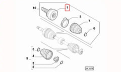 Palio Aks Kafası Şema