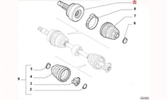 Albea Aks Kafası Şema