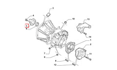 Siena Prizdirek Kapağı Şema