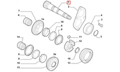 Palio Şanzıman Kamalı Mili Şema