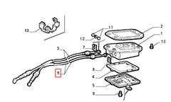 Palio Vites Teli Şema