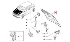 Punto Motor Kaputu Şema