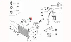 Fiorino Motor Radyatörü Alt Hortumu Şema