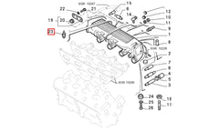 Palio Hararet Müşürü Şema