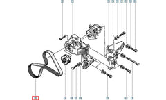 Clio Alternatör Kayışı Şema