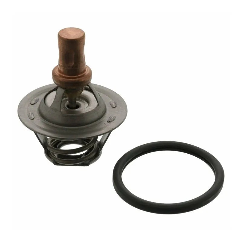 Clio Termostat 1990-2002 Orjinal Mais 7700742617