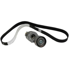 Megane Alternatör Kayış Bilya Seti 1995-2003 Orjinal