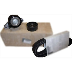 Megane Alternatör Kayış Bilya Seti 1995-2009 Orjinal