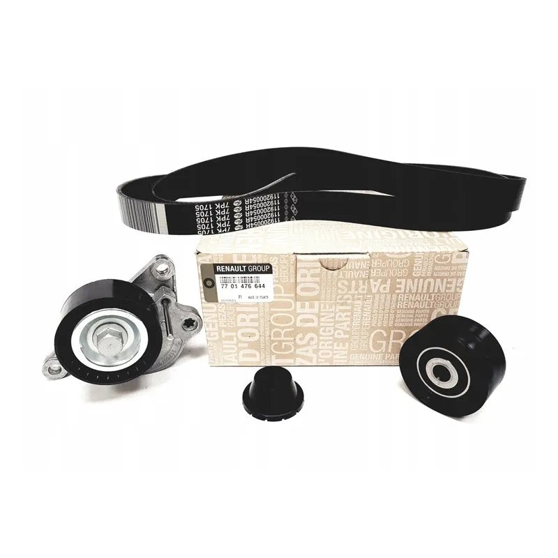 Laguna Alternatör Kayış Bilya Seti 2008-2012 Orjinal