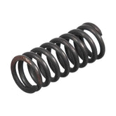 Laguna Motor Subap Yayı 2008-2012 Orjinal Mais 8200317145