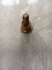 Palio Kapı Menteşesi Pimi