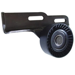 Express Alternatör Kayışı Gergi Bilyası 1990-2001