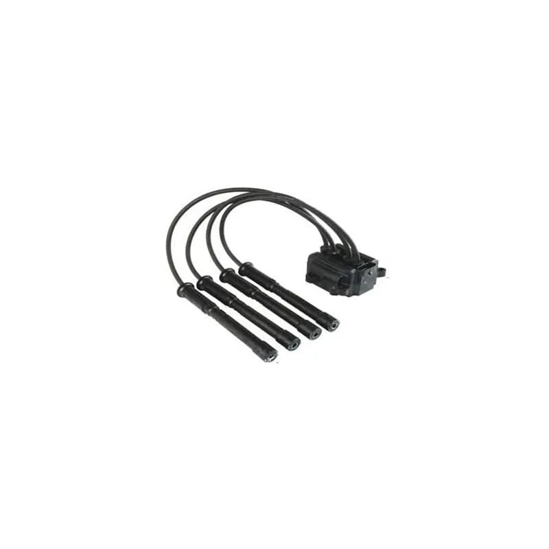 Clio Ateşleme Bobini Ve Buji Kablosu 1990-2015