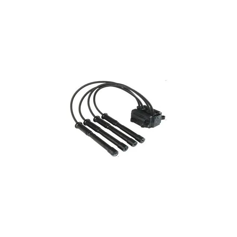 Clio Ateşleme Bobini Ve Buji Kablosu 1990-2015