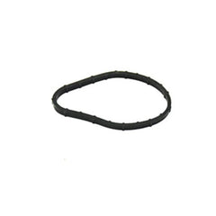 Express Motor Yağı Soğutucu Oringi 1990-2001