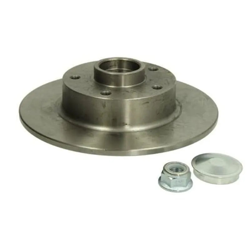 Megane Arka Fren Diski 2010-2015 Delphi 432001539R