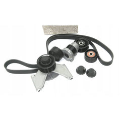 Clio Alternatör Kayış Bilya Seti