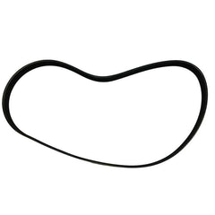 Clio Alternatör Kayışı