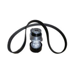 Lodgy Alternatör Kayış Bilya Seti