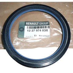 Trafic Krank Arka Keçesi