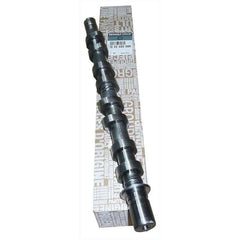 Megane Eksantrik Mili