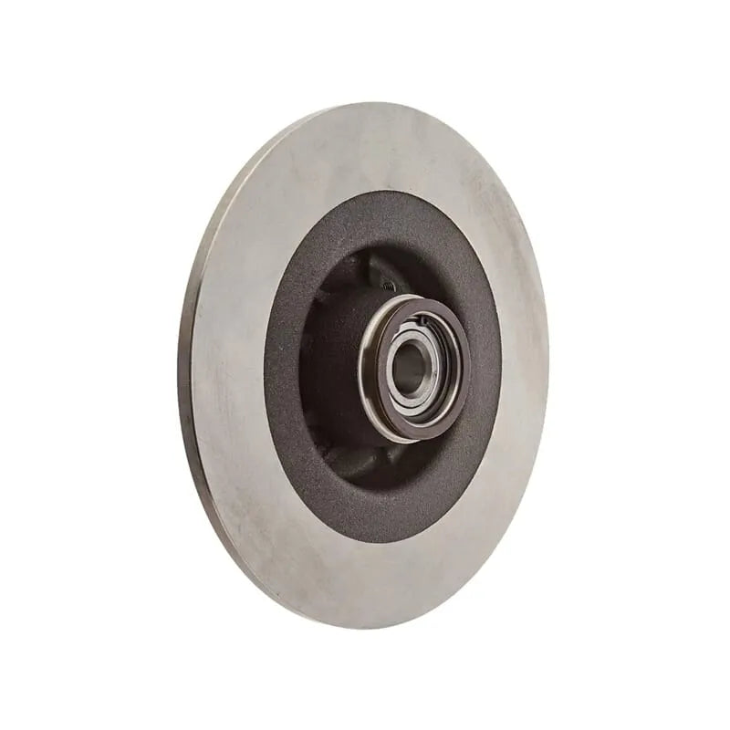 Megane Arka Fren Diski