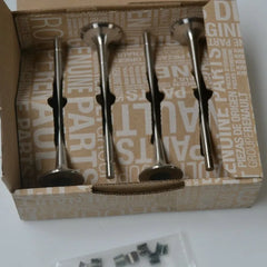 Sandero Egzoz Subap Takımı