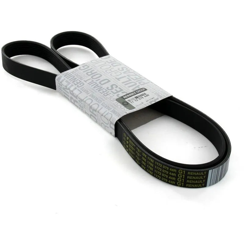 Trafic Alternatör Kayışı Trafic Alternatör Kayışı