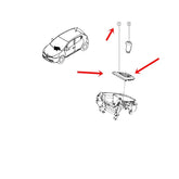 Clio Vites Körüğü