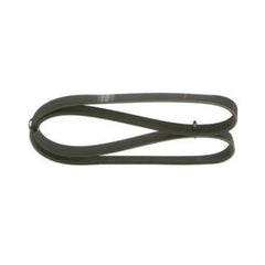 Talisman Alternatör Kayışı