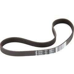 Laguna Alternatör Kayışı