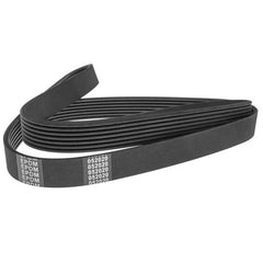 Scudo Alternatör Kayışı