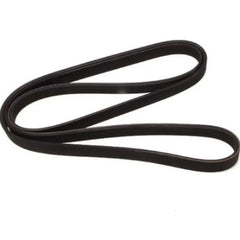 Laguna Alternatör Kayışı