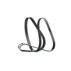 Megane Alternatör Kayışı