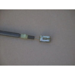 12 Toros El Fren Teli