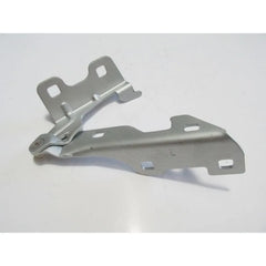 Clio Kaput Menteşesi