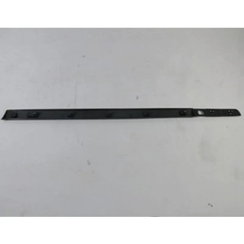 Clio Kapı Çıtası