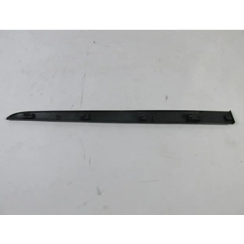 Clio Kapı Çıtası