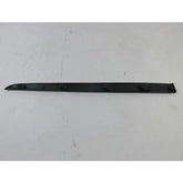 Clio Kapı Çıtası