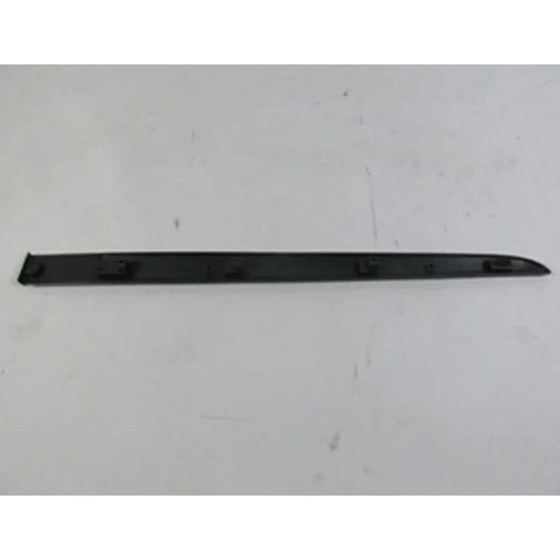 Clio Kapı Çıtası