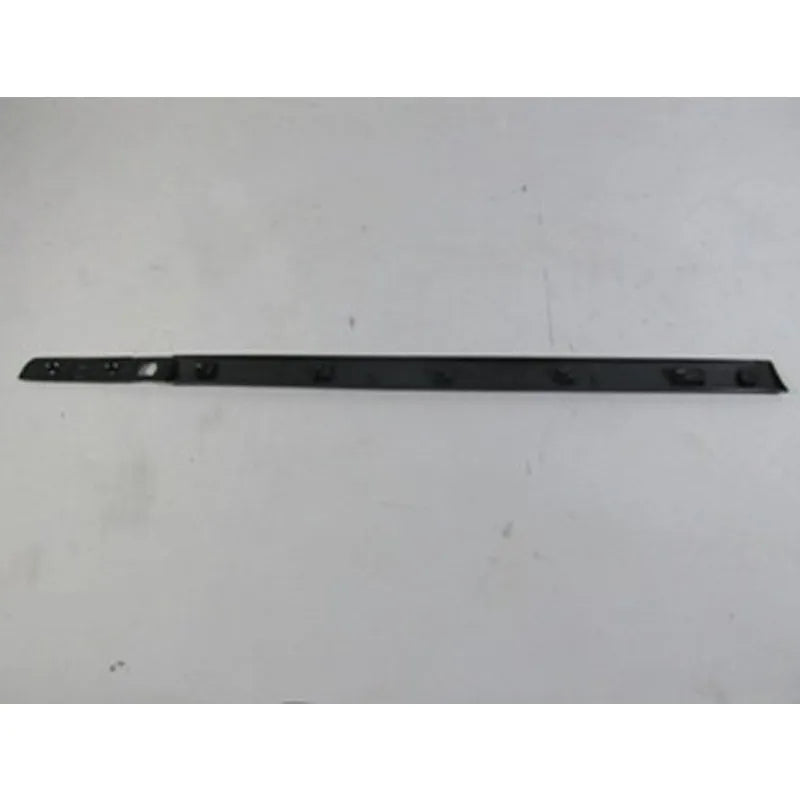 Clio Kapı Çıtası