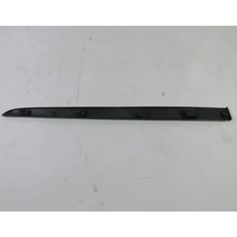 Clio Kapı Çıtası